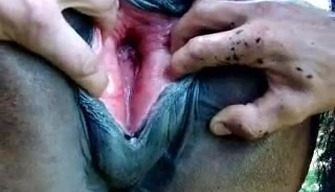 A man fucks a horse with his hand, fisting zoo porn