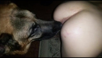 Porn of a Czech couple with a shepherd dog, homemade zoo video