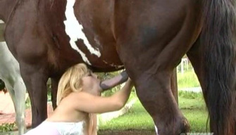 Blonde and horse, Spanish zoo porn video