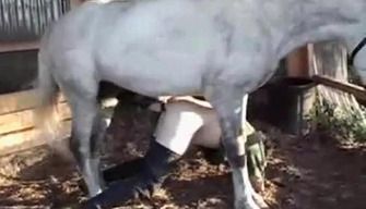 Horse fucked by a zoophile and cum in the ass, horrible zoo gay porn