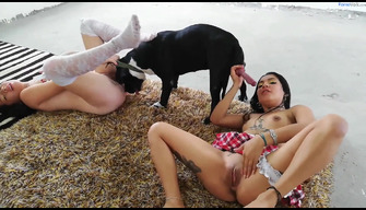 Grupo porno de jóvenes con un pit bull dog en 4k