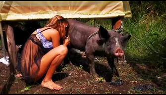 Porno con un jabalí zoo xxx video de una chica con un cerdo