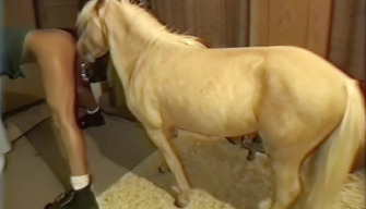 Poney baise hard latine fille zoophile. Le brésil cheval porno