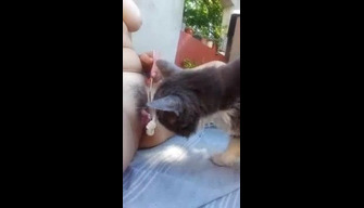 Gato lambe a buceta de uma menina Brasileira, pornô zoo