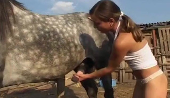 Jovem dá-se para um grande cavalo em uma fazenda, zoológico vídeo de sexo