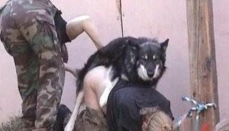 Guard dogs fuck a captive American whore. Syrian porn videos