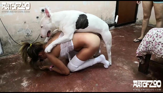 Porr Brasilianska flickor med en pit bull dog. Full HD-zoo porr